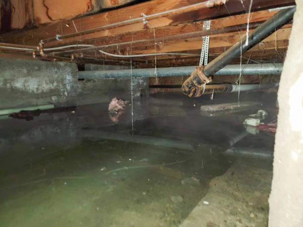 Best Emergency water damage restoration  in Lewiston, ME