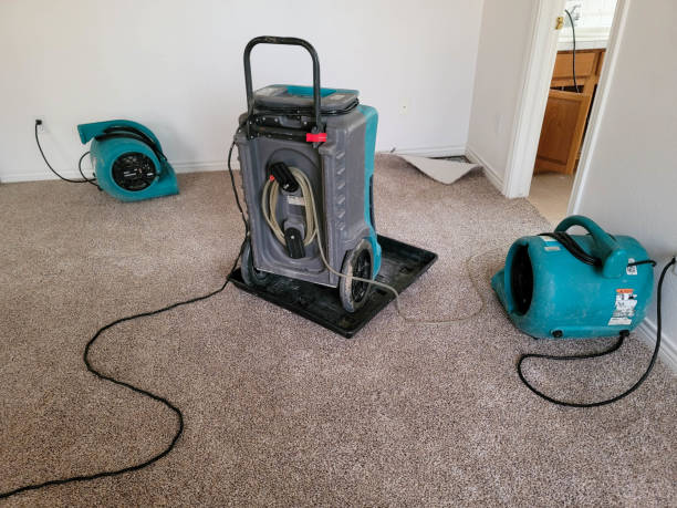 Best Mold removal after water damage  in Lewiston, ME