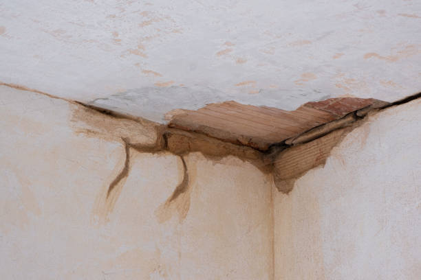 Best Carpet water damage restoration  in Lewiston, ME