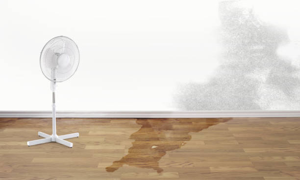 Best Basement water damage restoration  in Lewiston, ME