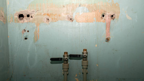 Best Water damage restoration process  in Lewiston, ME